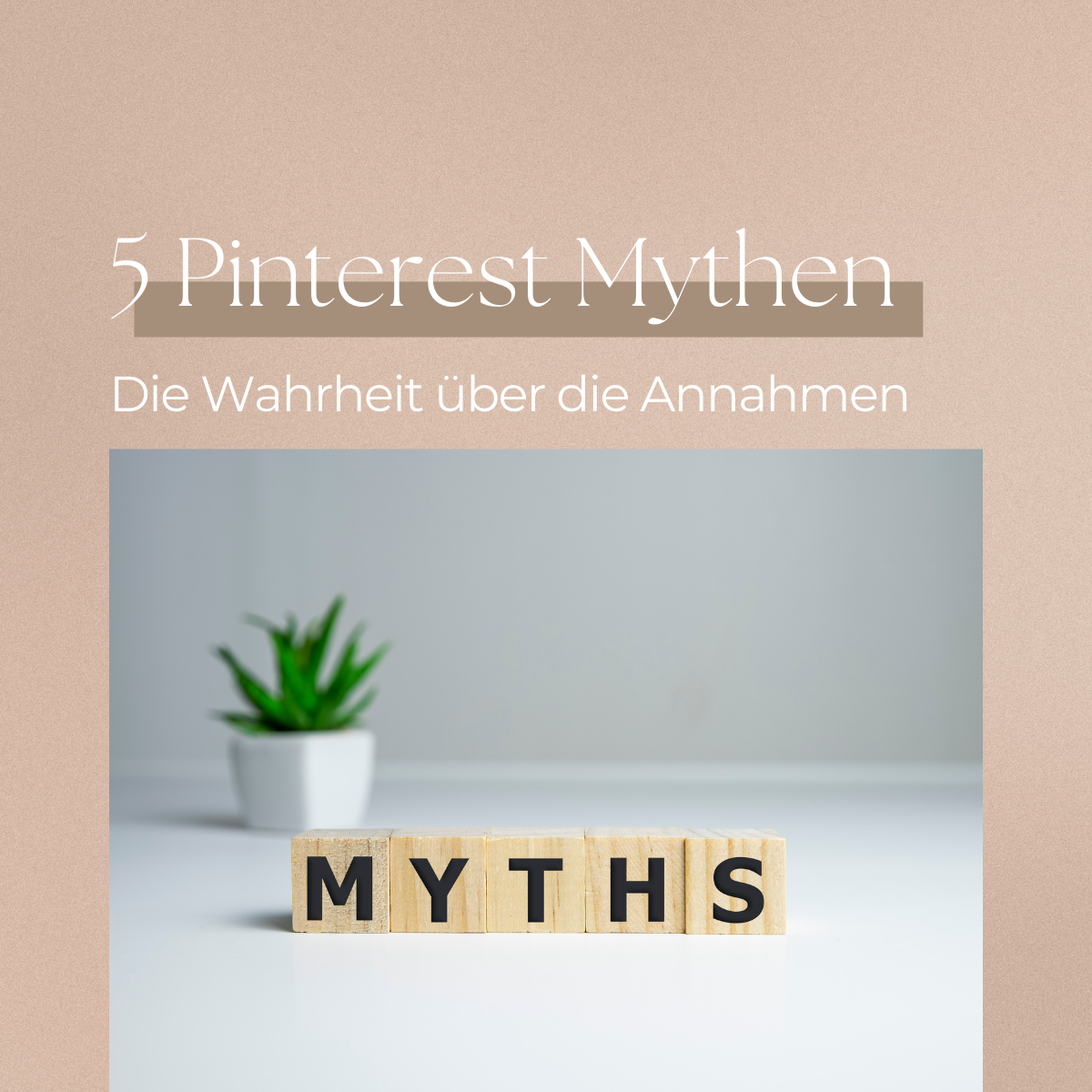 Read more about the article 5 Pinterest Mythen, die nicht wahr sind